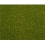 Heki 30903 Gräsmatterulle, ljusgrön, 100 x 300 cm