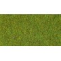 Heki 30902 Gräsmatterulle, ljusgrön, mått 100 x 200 cm