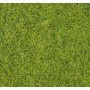Heki 1870 Vildgräsmatta, ljusgrön, 2 st, 40 x 25 cm