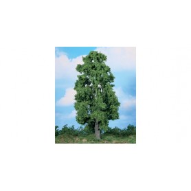 Heki 1988 Kastanjeträd, 1 st, 30 cm hög