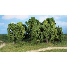 Heki 1993 Lövträd, 12 st, 8-13 cm höga