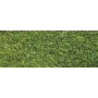 Heki 3377 Gräsfibrer XL, sommargrön, statiskt, 10 mm, 50 gram i påse