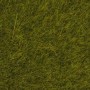 Noch 07100 Vildgräs, äng, 6 mm, 50 gram i påse