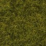 Noch 07110 Vildgräs XL, äng, 12 mm, 40 gram i påse