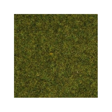 Noch 08312 Gräs, äng, 2.5 mm, 20 gram i påse