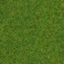 Noch 08314 Gräs, välklippt gräsmatta, 2.5 mm, 20 gram i påse