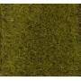 Faller 170772 Gräsfiber, försommargrönt, höjd 6 mm, 30 gram i påse