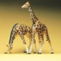 Preiser 20385 Giraffer, 2 st