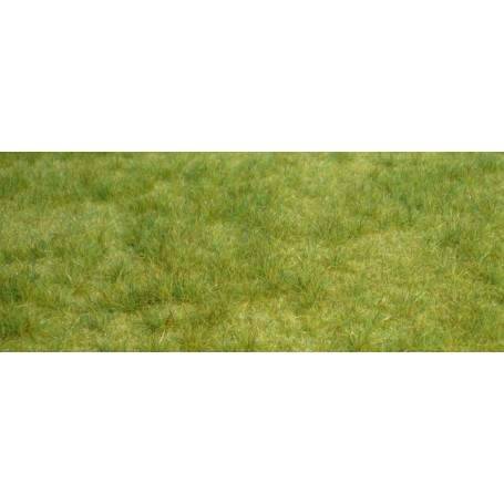 Heki 1841 Vildgräs, vårgräs, mått 45 x 17 cm