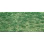 Heki 1843 Vildgräs, myrmark, mått 45 x 17 cm