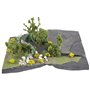 Faller 181113 Do-it-yourself Minidiorama Enchanted forest