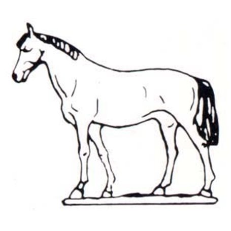 Prince August 101 Häst, med huvudet upp