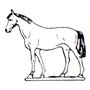 Prince August 101 Häst, med huvudet upp, Häst, 40 mm hög, gjutform för tenngjutning.
