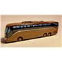 AWM 11301-2 Buss Setra S 516 HD, brun