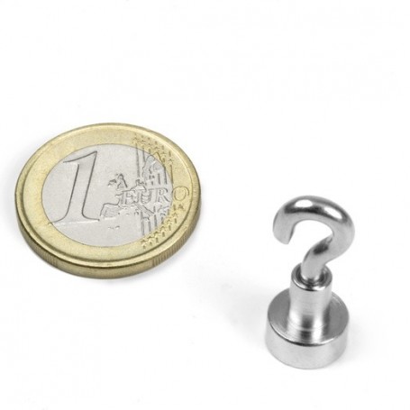 Magnet FTN-10 Hook magnet, diameter 10 mm
