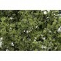Woodland Scenics F1132 Foliage "Fine-Leaf", ljusgrön, 120 cl i box