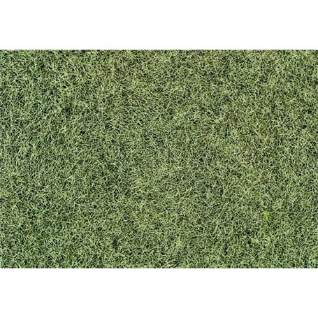 Heki 33540 Vildgräs, statiskt, vinter, 75 gram, 5-6 mm långt