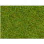 Noch 08300 Gräs, vårgräs, 2,5 mm, 20 gram påse