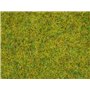 Noch 08310 Gräs, ängsgräs, 2,5 mm, 20 gram påse