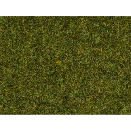 Noch 07117 Vildgräs, äng, 9 mm, 50 gram i påse