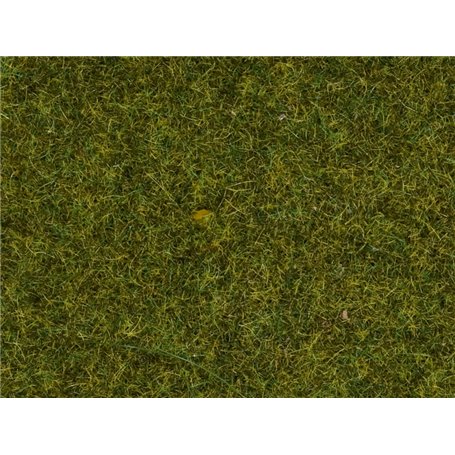 Noch 08361 Statiskt gräs, äng, 4 mm, 20 gram i påse