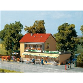 Auhagen 12238 Country general store