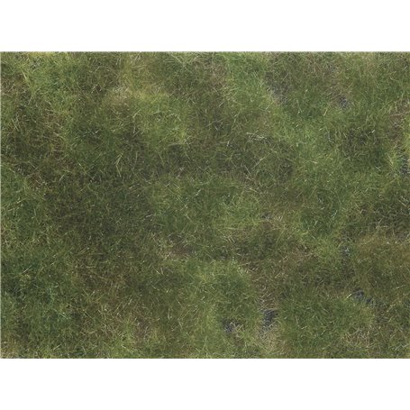 Noch 07251 Groundcover Foliage, olive green, 12 x 18 cm