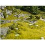 Noch 07472 Minigräsmatta, "Natural Meadow", 25 x 25 cm, 2 st