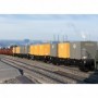 Trix 24161 Type Laabs Container Transport Car
